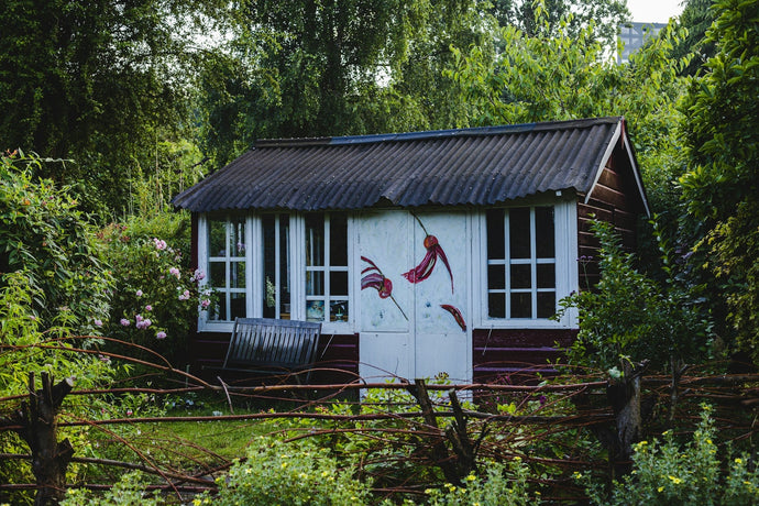 Vivre dans une petite maison au fond du jardin de ses parents, l'histoire de Penny Wilby